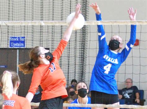 Lancers Reach Volleyball Semifinals The Catalina Islander