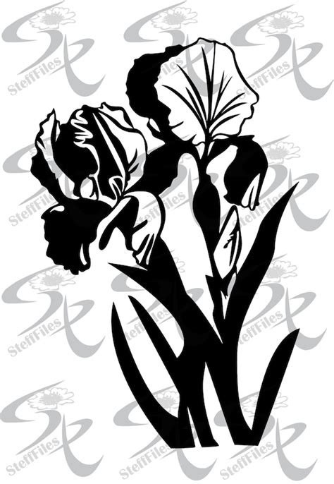 Iris Flowers Svg Dxf Silhouette Elite Decoration Clipart Etsy