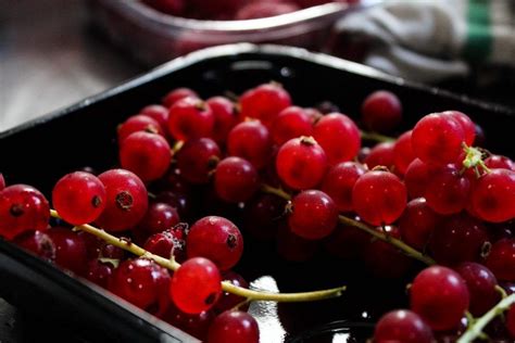 Frutas Vermelhas Benefícios Quais São E Receitas Para Fazer Em Casa