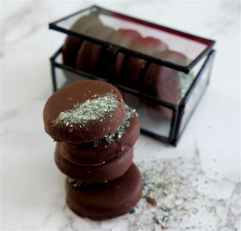 Mint Chocolate Cookies — Ooosha | Chocolate mint cookies, Mint chocolate, Mint cookies