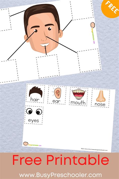 Match The Face Parts Free Printable For Toddlers And Preschoolers