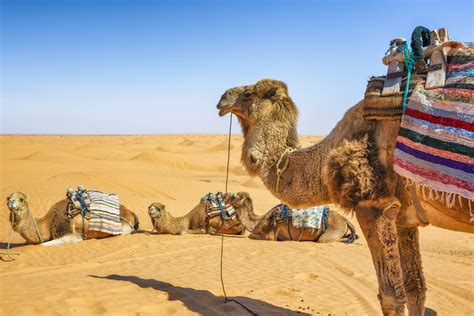 Tienes Que Visitar Estos Lugares Del Norte De África Antes De Morir