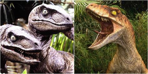 Jurassic Park 10 Things You Didnt Know About Velociraptor Behavior On