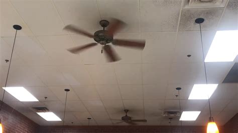 The i/o (indoor/outdoor) fan can be installed on porches and other covered areas where dampness but not direct water spray might be present. 2 Regency Ceiling Fans (Greatest Hits Remake ) - YouTube