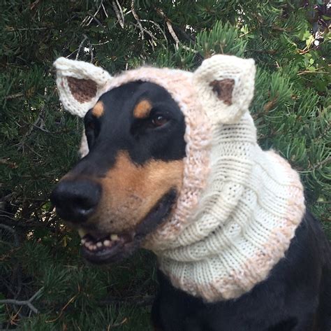 Dog Snood With Ears Learnlasopa