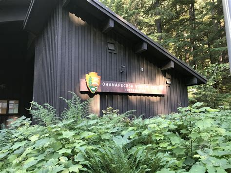 Ohanapecosh Campground Mount Rainier National Park Packwood Wa