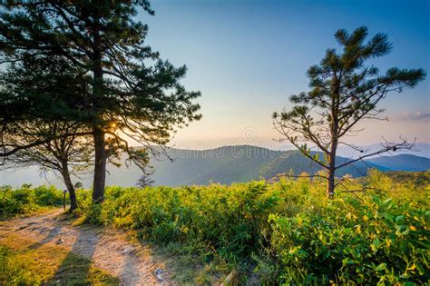 Trail And View Of The Blue Ridge Mountains At Sunset In Shenandoah