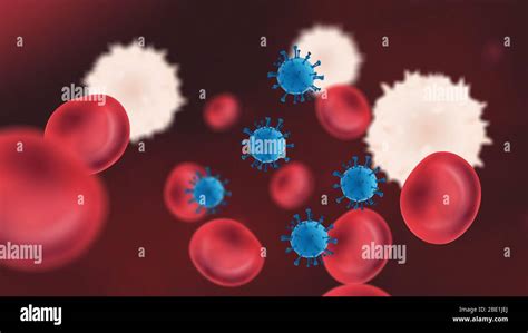Red And White Blood Cells Hi Res Stock Photography And Images Alamy