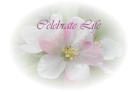 Celebrate Life Clipart People Clipground