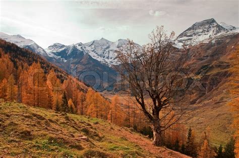 Autumn In The Alps In Austria Stock Image Colourbox