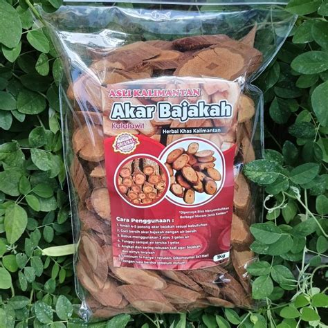 Akar Bajakah Kalalawit Merah Asli Kalimantan Kg Lazada Indonesia