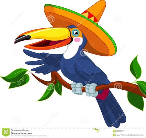 Toucan With Sombrero Royalty Free Stock Image Image
