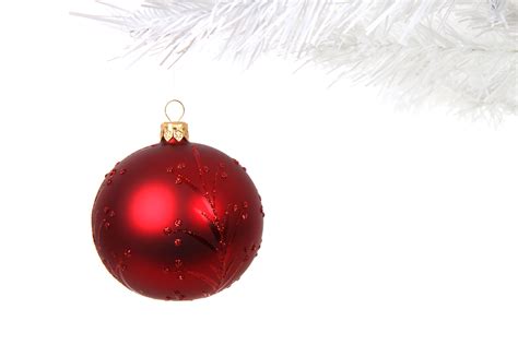 Free Images Branch Winter White Celebration Red Holiday Hanging