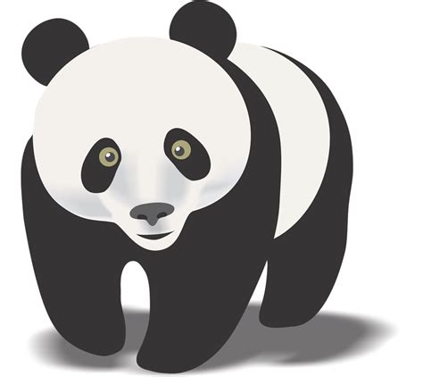 Panda Clipart Clipart Clip Art Vectors Graphics Illustrations Riset