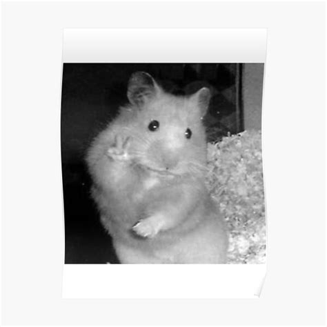 Hamster Peace Sign Posters Redbubble