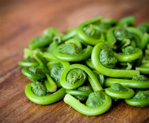 Fiddleheads Are Here Co Op News