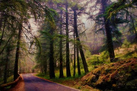 The Road To Paradise Photograph By Rick Lawler Fine Art America