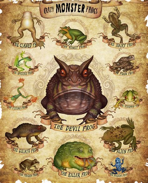 Top 10 Freaky And Fascinating Frogs Animal Behavior Krediblog