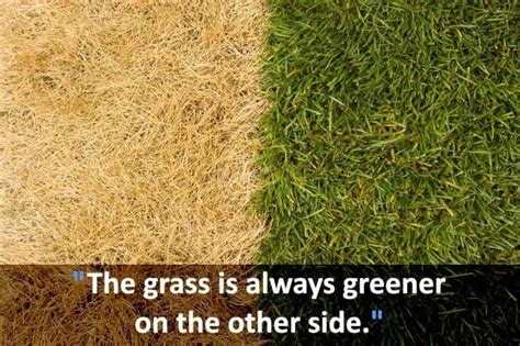 The Grass Is Always Greener On The Other Side Phrases