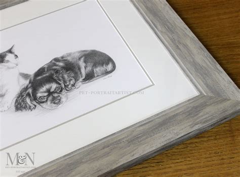 Pencil Drawing Pets 4 Melanie And Nicholas Pet Portraits