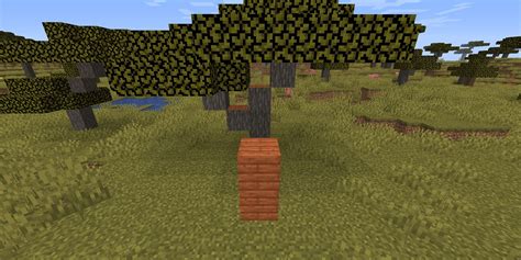 How To Get Every Wood Plank In Minecraft