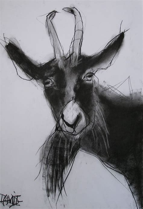 10 Staggering Charcoal Easy Things To Draw Ideas Goat Art Charcoal