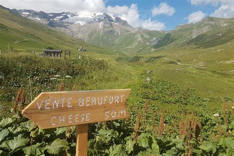 Complete Tour Du Mont Blanc In Huts Self Guided Walking Holiday Macs