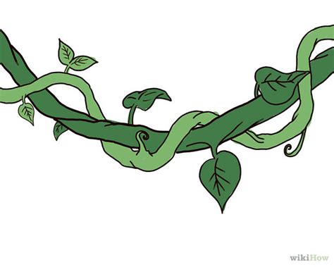 Free Vines Download Free Vines Png Images Free Cliparts On Clipart Library