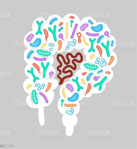 Human Microbiome Illustration With Intestines And Bacteria Vector