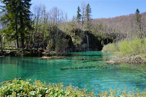 Crystal Clear Water In The Lake At Plitvice Lakes National Park