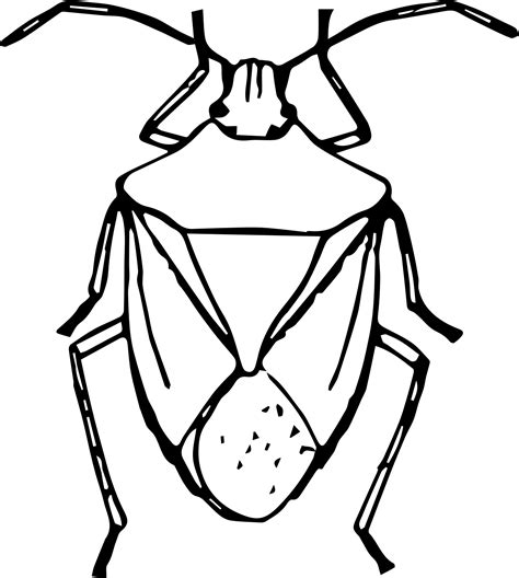 Stink Bugs Free Coloring Pages
