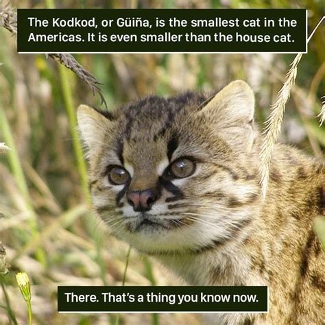 116 Times Nature Proved Its Too Weird For Us To Handle Did You Know