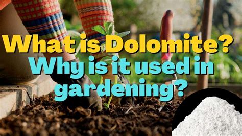 What Is Dolomite Why Is It Used In Gardening Youtube