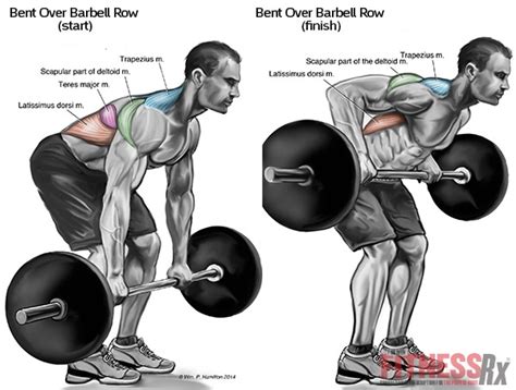 Top 8 Back Workout Exercises For Mass