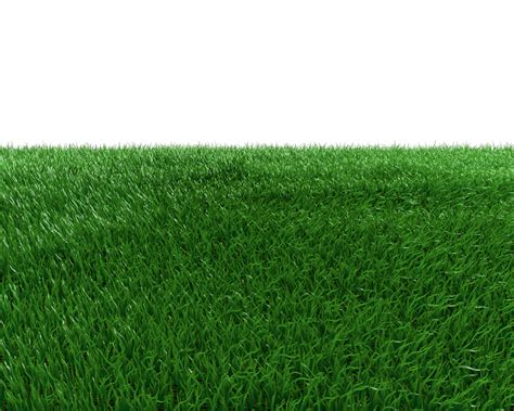 Grass Field Png By Dabbex30 On Deviantart