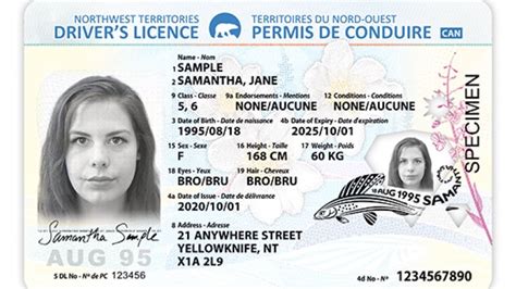 New Security Features For Nwt Licences And Ids Cbc News