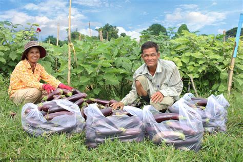 Helping Cambodian Farmers Grow Their Businesses Shareamerica