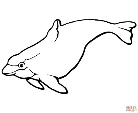 Gemstone Dolphin Coloring Pages