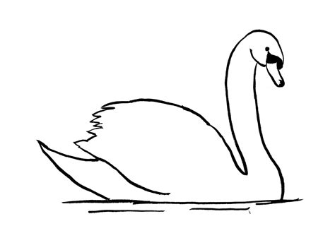Swan Drawing Step By Step Samantha Bell Art Blocks