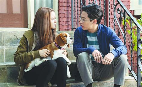 In theory, this unconditional affection seems mighty unjust for a shameless family franchise that kills an average of four to five dogs per movie, sometimes, in unspeakably wretched fashions—seriously, where is john. A DOGS JOURNEY - Review - We Are Movie Geeks