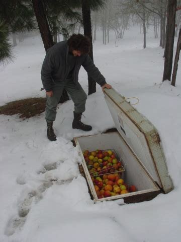 Revised working hours of all offices of lic of india from 10.05.2021, pursuant to notification s.o.1630(e) dated 15th april 2021 wherein the central government has declared every saturday as a public holiday for life insurance corporation of india. Creating a Cold Storage Option