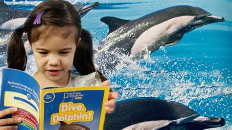 Dive Dolphin National Geographic Kids Pre Reader Youtube