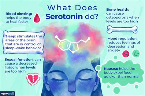 Serotonin Function And How To Increase Levels