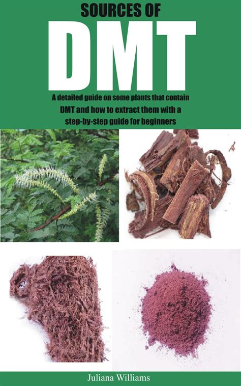 Buy Sources Of Dmt A Detailed Guide On Some Plants That Contain Dmt