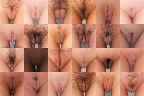 Different Penis Shapes Cumception