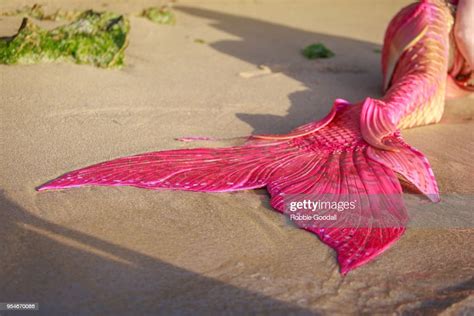Beautiful Pink Mermaids Tail On The Beach Mettams Pool North Beach
