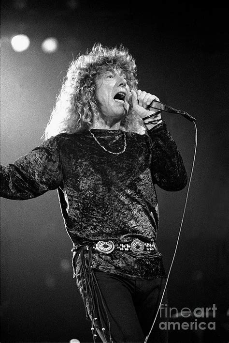 Robert Plant Photograph By Concert Photos Fine Art America