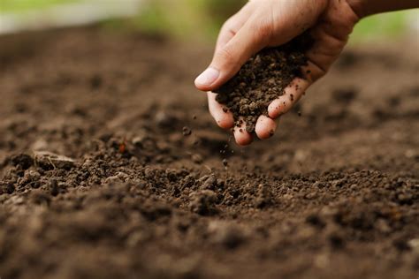 How Do You Get Rich Soil