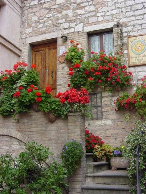 We did not find results for: Spello: finestre, balconi e vicoli fioriti | Made in Italy ...