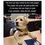 30 Hilarious Animal Memes – FunnyFoto  Page 18